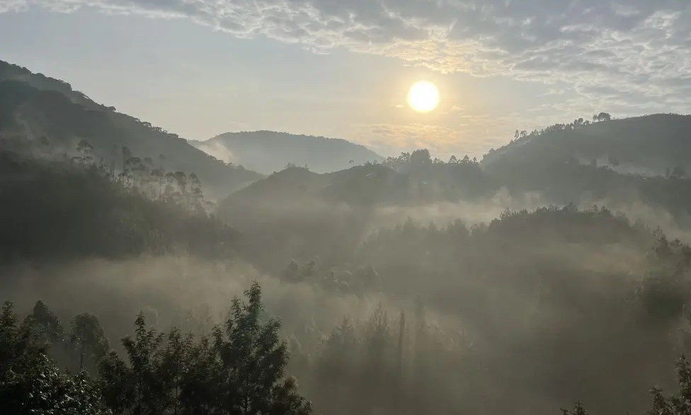 The forest where the Batwa community of Uganda live