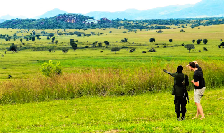 A guded Wildlife Nature Walk at Kidepo Valley National Park - Valverde Safaris Uganda